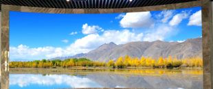 “海外客戶最關心的LED屏參數:不是分辨率，而是這個..